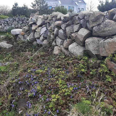 住宿加早餐酒店 罗斯洛住宿加早餐旅舍