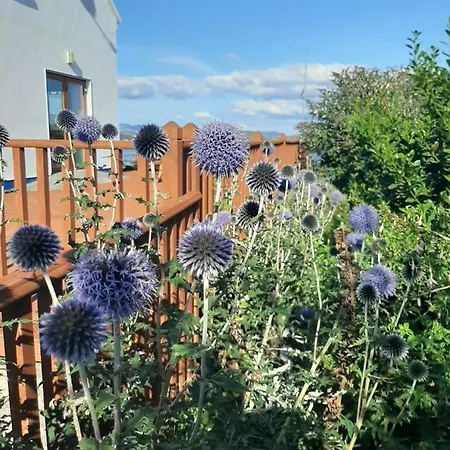 罗斯洛住宿加早餐旅舍 住宿加早餐酒店 4*