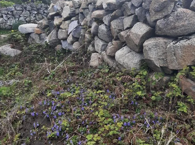 Couette-café Rossroe