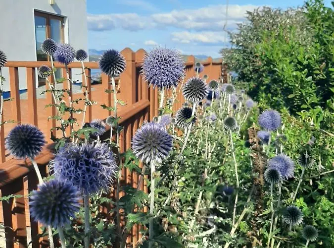 Rossroe Couette-café 4*